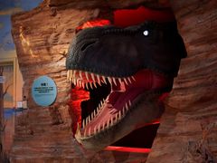 -正佳自然科学博物馆