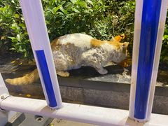-太原茂业天地购物中心