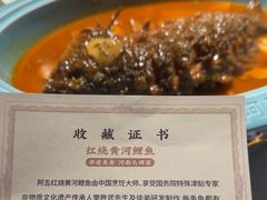 -阿五黄河大鲤鱼(纬三路店)