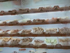 -马路边边串串香(双井直营店)