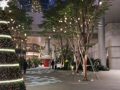 -深圳湾万象城(南山店)