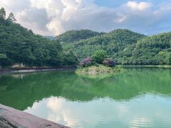 -广州白江湖森林公园