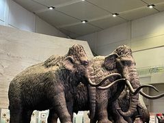 -大庆市博物馆
