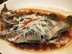 -锦粤宫·精致粤菜(深圳北站店)