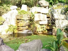 -广州神农草堂中医药博物馆