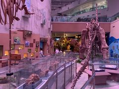 -陕西自然博物馆