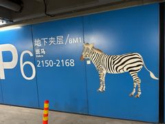 -虹桥综合交通枢纽-P6停车库