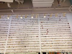 -KKV(深圳kk one 店)