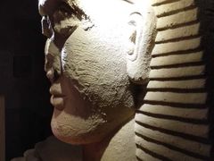 -秃鹫湾·推理大师沉浸式实景演绎推理剧场