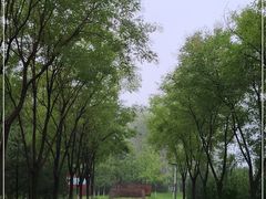 -东郊湿地公园