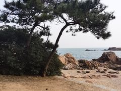 -青岛第二海水浴场