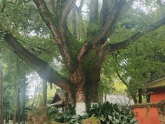 -成都武侯祠博物馆