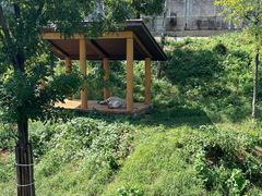 -石家庄市动物园