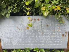 -东山风景区(洞庭东山)