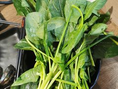 -新辣道鱼火锅(世纪金源购物中心店)