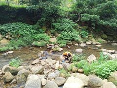 -武汉姚家山旅游景区