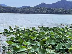 -东钱湖旅游度假区