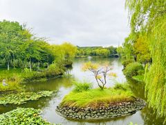 -东台西溪天仙缘景区