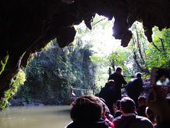 -怀托摩萤火虫洞