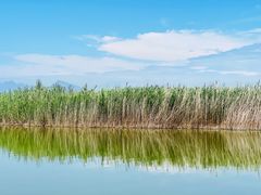 -野鸭湖国家湿地公园