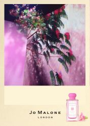 -祖·玛珑
