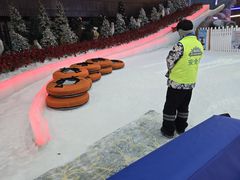 -世界之窗阿尔卑斯冰雪世界