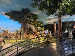 -国家自然博物馆