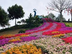 -东莞植物园