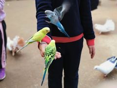 -呀路古热带植物园