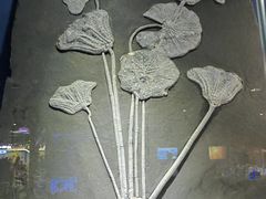 -正佳自然科学博物馆