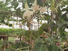 -兰陵国家农业公园