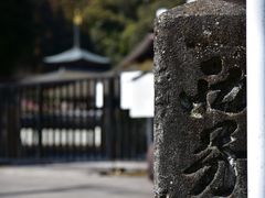 -西芳寺(苔寺)