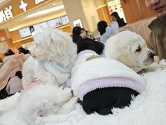 -万达广场(大明宫店)