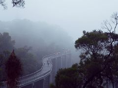 -金鸡山公园