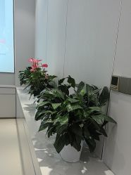 -禾丽康美医疗美容医院