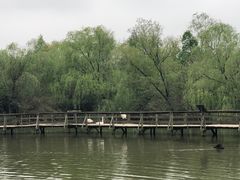 -溱湖国家湿地公园