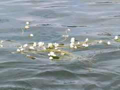 -丽江泸沽湖景区