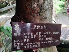 -海南槟榔谷黎苗文化旅游区