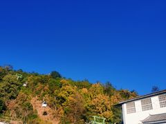 -苍山感通索道