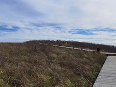 -白草畔自然风景区