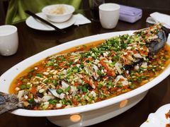 飞虹鱼-飞虹鱼馆(春华路店)