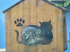 -青藏高原野生动物园