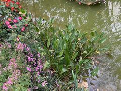 -人民公园(罗湖区)