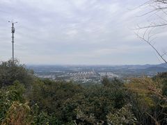 -阳台山自然风景区