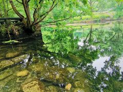 -阿哈湖国家湿地公园