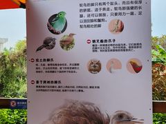 -广州长隆飞鸟乐园