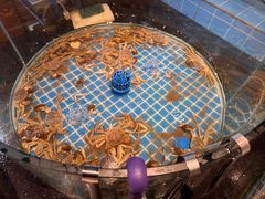 -争先鲜·蒸汽海鲜自助·鲜切牛肉