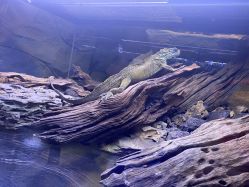 -Zoolung Zoolung动物主题公园(海信广场店)