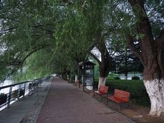 -沙澧河风景区