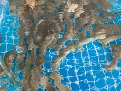-必点蒸汽海鲜(止锚湾店)